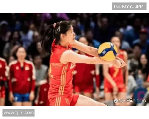 排球深度：解密深圳排球队的整体压制